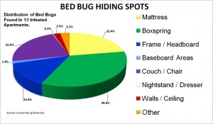 New York Bed Bug Lawyers, Effie Soter, Esq., serving New York City, Brooklyn, Queens, Bronx
